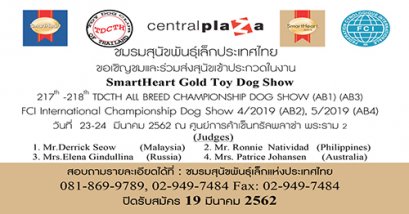 SmartHeart Gold Toy Dog Show 2019